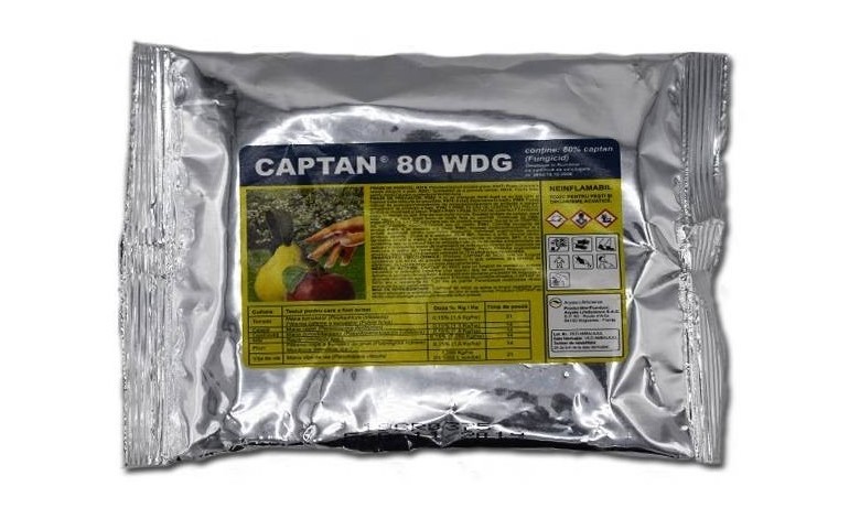 Captan 80 WDG 150 g – fungicid pentru combaterea rapănului și moniliozei la pomi fructiferi